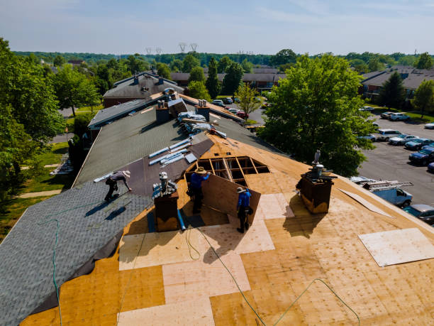 Best Flat Roof Repair Services  in Whitehorn Cove, OK