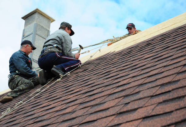 Best Roof Leak Repair  in Whitehorn Cove, OK